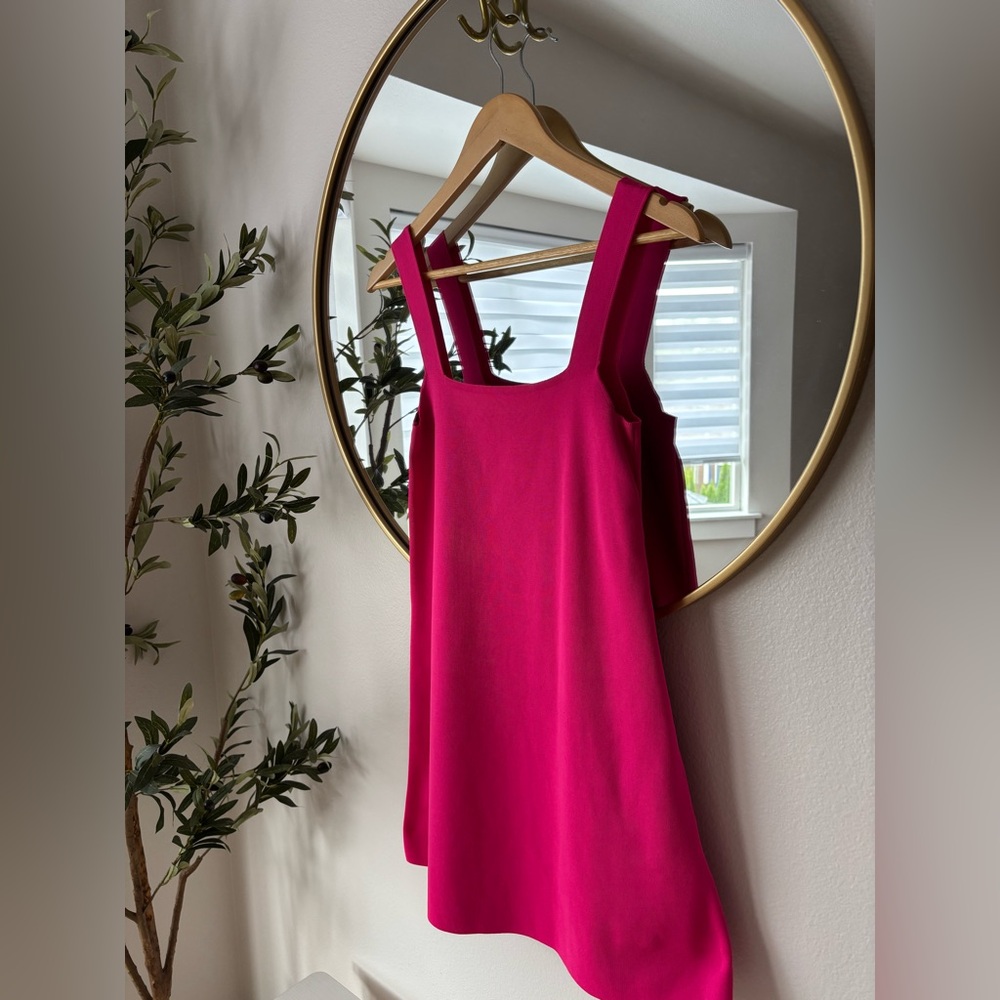Zara Hot Pink Knit Dress